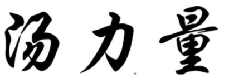 汤力量