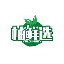 柚鲜选 YOLXINBUY