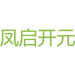 凤启开元