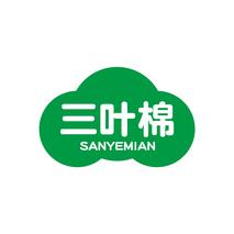 三叶棉
