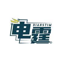 电霆 DIANSTIM