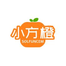小方橙SOLFUNCEM