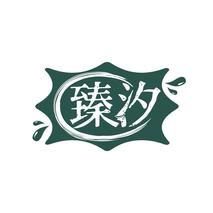 臻汐
