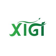 XIGI