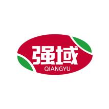 强域QIANGYU