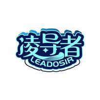 凌导者 LEADOSIR