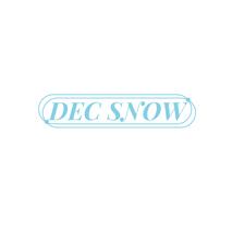 DEC SNOW