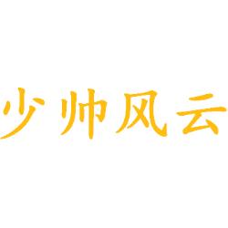 少帅风云