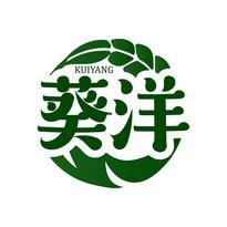 葵洋