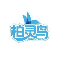 柏灵鸟 BOWLYBIRD
