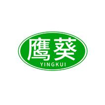 鹰葵