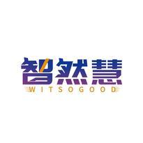 智然慧 WITSOGOOD