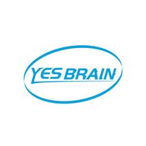YES BRAIN