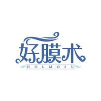 好膜术 HOLMOSU