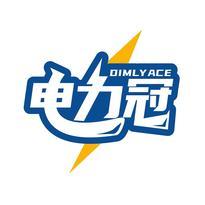 电力冠 DIMLYACE
