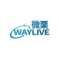 微栗 WAYLIVE