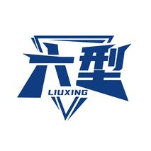 六型