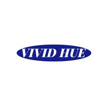 VIVID HUE